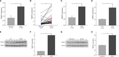 TM9SF1 offers utility as an efficient predictor of clinical severity and mortality among acute respiratory distress syndrome patients